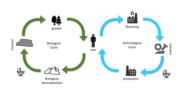 bio and tech cycle diagram